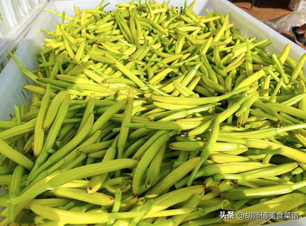 野芹菜有毒吗 ：这3种野菜自带“毒素”，现在正大量上市，一定要少吃